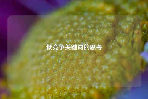 低竞争关键词的思考